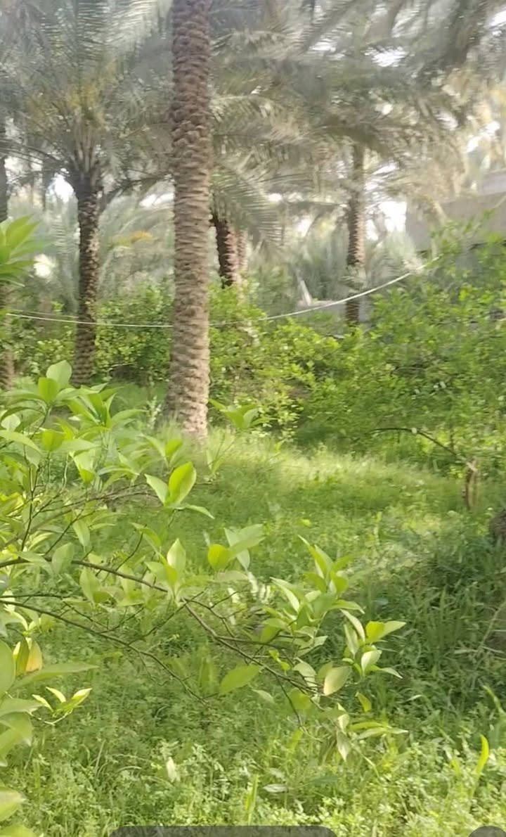 السلام عليكم
أرض للبيع المساحه 3 دونم ونص طابو زراعي تحويل باسم المشتري عنوان الأرض كربلاء الحسينيه قريب العطيشي تبعد عن السوق بحدود كيلو ونص الأرض تحتوي على بيوت عدد 3 بناء حديث السعر الكلي للارض 575 الاستفسار ع الرقم ***********
*********** أبو حسين المسعودي
