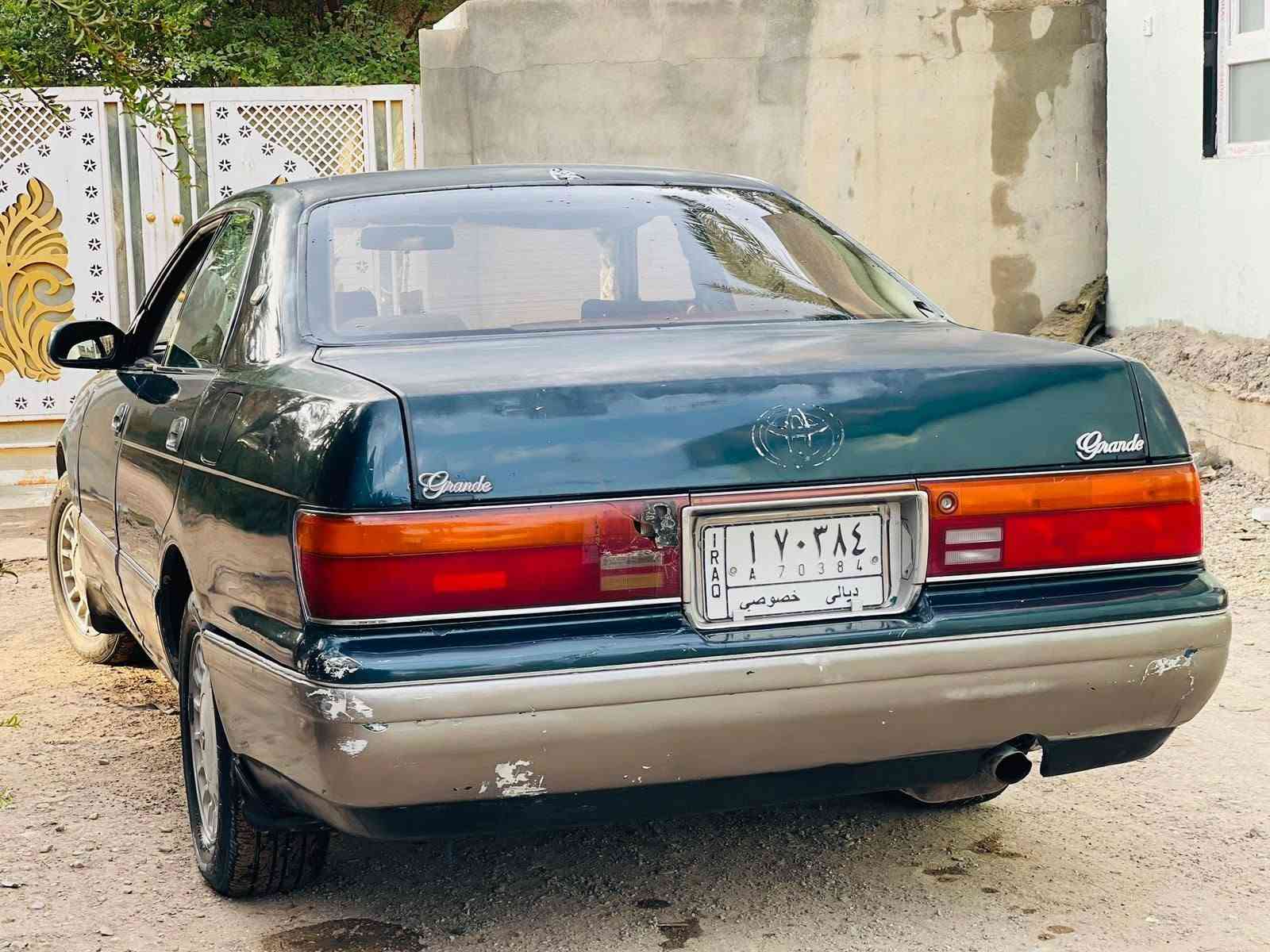 بطة • الأسود مراوس • حديثة