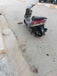 ماكس منغولي • نضيفه • بوشه 50