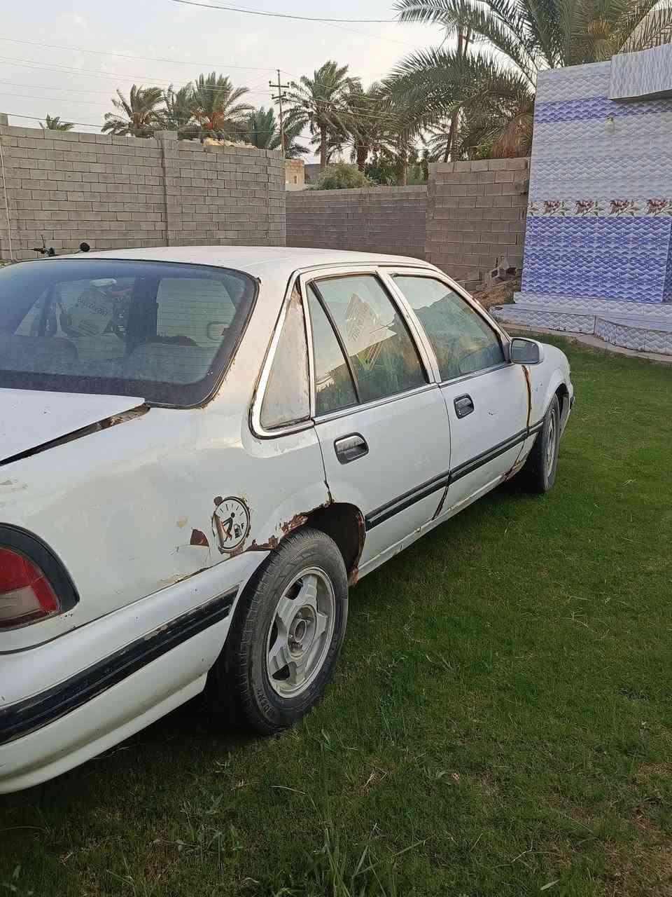 برنس • بدون ارقام • الحبانية