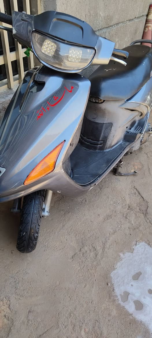 فراشة • فحل • مامفتوحه