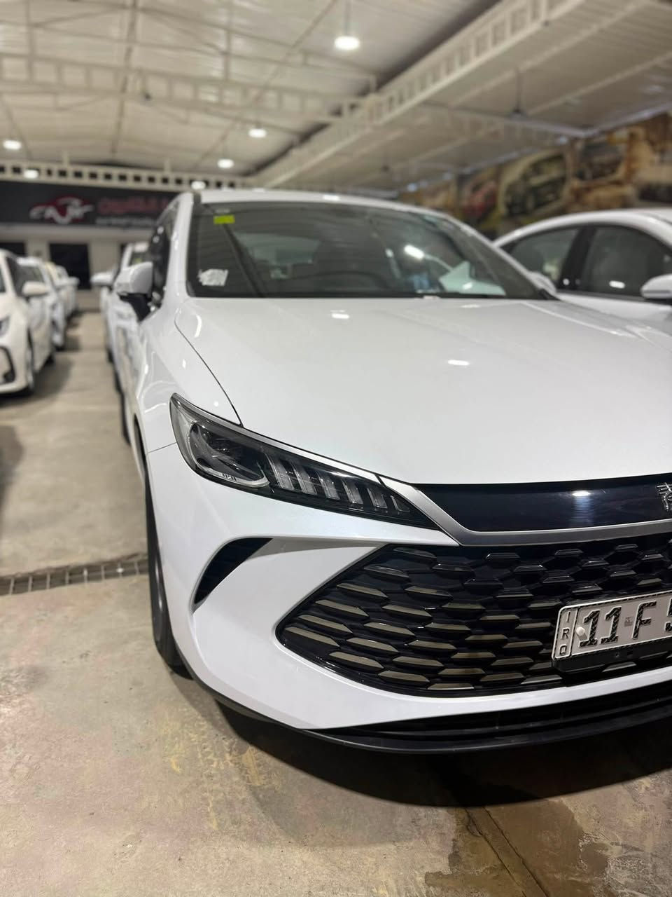 💥‼️‼️ BYD QIN PLUS ‼️‼️💥 
❌❌  ❌❌
💥💥💥 (((((( داااخل أبيييض ))))))) 💥💥💥 
   
🔥🔥 🔥🔥

📍 بغداد الكريعات شارع الوقف السني 📍

اوقام العمل والاستفسارات من الساعه 12- ظهرا الى الساعه 9 مساءا
☎️ للاستفسار ☎️

***********📞منتظر
