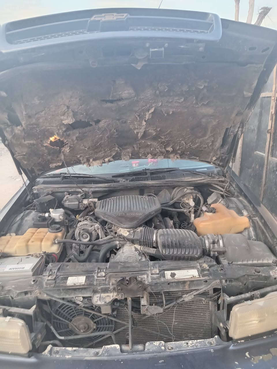 كابرس دولفين ٩٤ مجول بسمي محرك وكير وحداديه وكهربا الكل شغال كير محرك صندوك من الكويت السعر ٤٠ ورقه وبيها مجال للطيبين اترايك وين ماتحب السياره جديده مال جناي العنوان بصره الزبير دور الظباط قرب المشتل  واتساب*********** شكرآ لاصاحب الكروب
