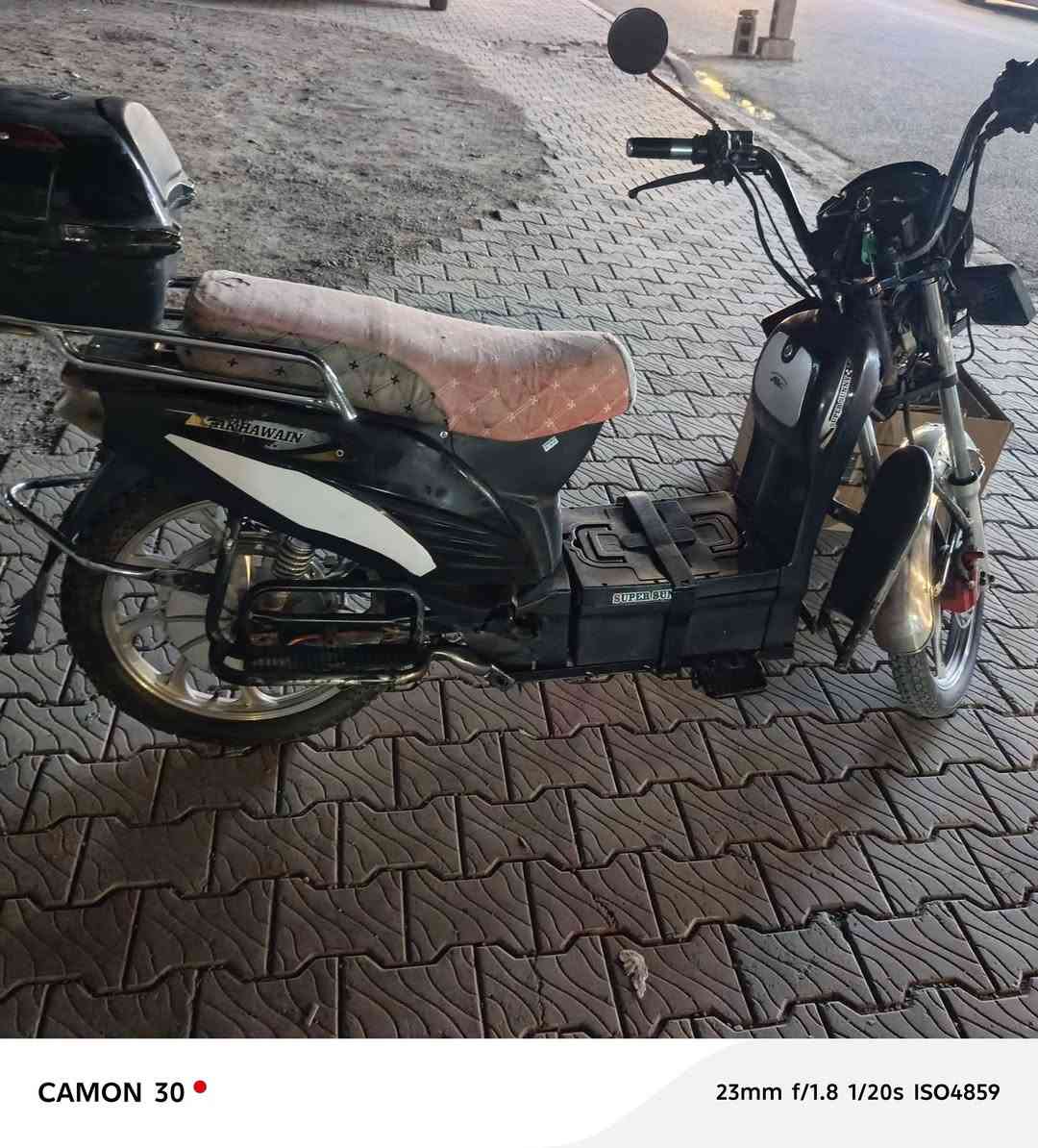 هارلي • ٢٠٢٣ • نظيفة
