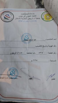 جمعية ام الربيعين • ٢٣٥م • ركن