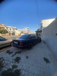 فكترا • ١٩٩١ • أربيل