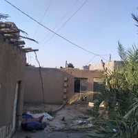 هيكل • الرفاعي التفيج
