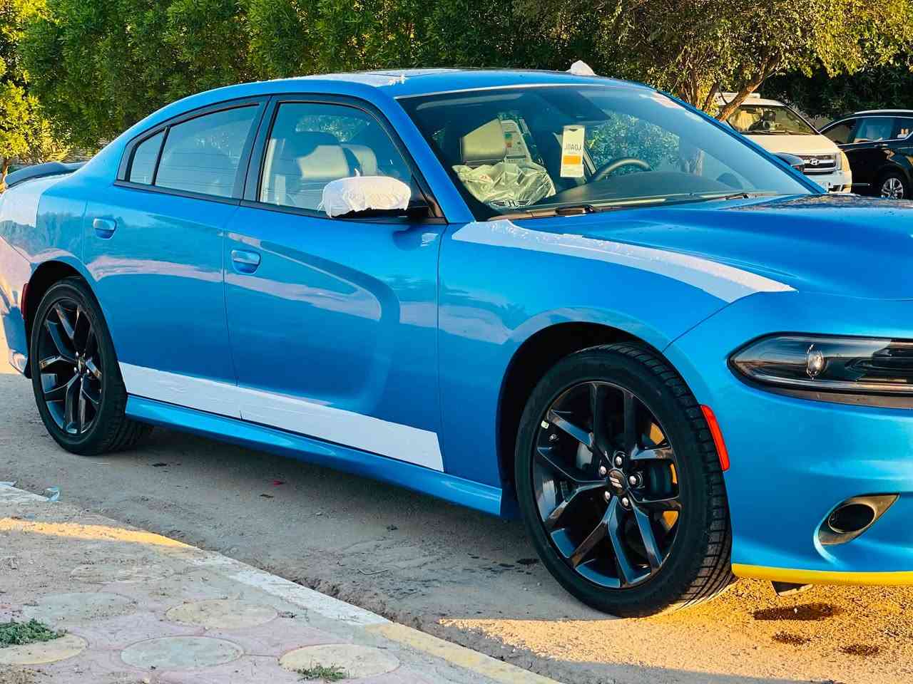 جارجر جي تي بلص بلاك أدشن 📍🩶
فول 1 /1 ام رادار امامي 

‏CHARGER GT PLUS BLACK EDITION 

لون  بحري  المرغوب اخر اصدار لاس كول ؟

الموديل :2023  . (خليجي) . وكاله هارلم 

العداد : 47 

المحرك : V6.  3.6L

مكفوله من الصبغ و التبديل و البارد  

المواصفات : رادار امامي ؟ 

* جناح خلفي اسود. 

* ويل قياس 20 انچ اسود . 

* مقود القيادة رياضي . 

* مقاعد رياضية من الشاموا الأسود.

* نقطة عمياء . 

* رادار مع مانع تصادم أمامي.

* مصابيح أمامية زنون . 

* كشافات الضباب زنون . 

* المصابيح الأمامية مع LED . 

* حساسات خلفية. 

* شاشه كبيرة مع نظام ملاحة نفكيشن GPS . 

* سستم صوت الپاين .

* فتحة سقف (سلايد) . 

* المقاعد الأمامية كهربائية . 

* ذاكرة لحفظ وضعيات الجلوس (ميموري) . 

* مقاعد أمامية تبريد وتدفئة . 

* مقاعد خلفية تدفئة.

* تشغيل عن بعد . 

* المقود كهربائي . 

* تدفئة مقود القيادة . 

* محدد سرعة . 

* تلفون بلوتوث . 

* كاميرا خلفية .

* مرايا متحسسة للاضاءة العالية .

* كير شفتر بالستيرن . 

* دخول ذكي (بصمة) .

ملاحظة السيارة توجد فيها رصعات صغيرة جداً اثنين بالقمارة وحدة بالباب واللي بالباب ساحبها سحب PDR

والداعمية الامامية فيها تكحيل او شخوط 

السعر 335$ وبيها مجال حكً الجية 

للاستفسار ***********
