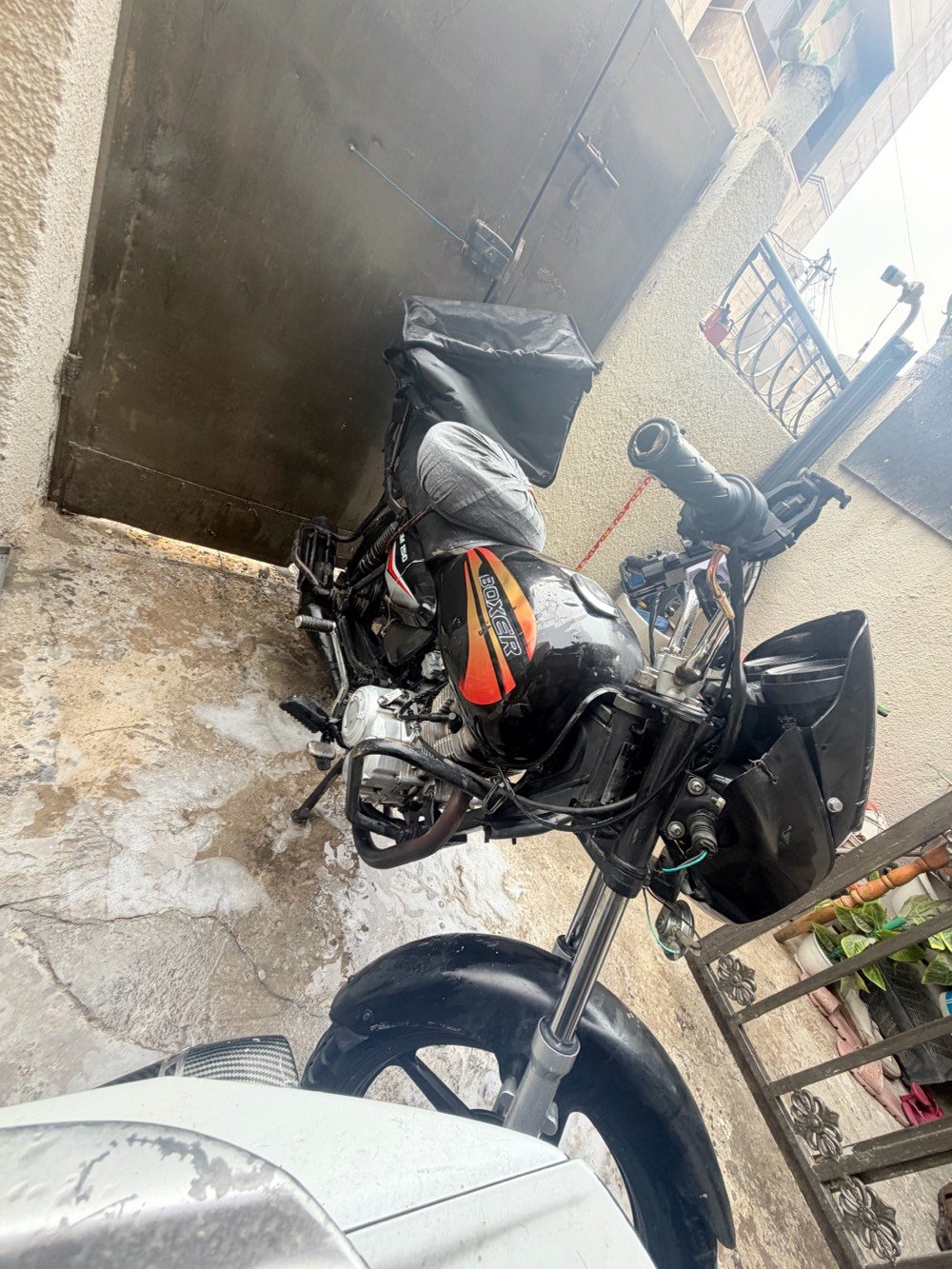 بوكسر • ٢٢ • كلاسك