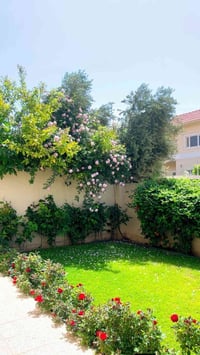 موجودة قطعه بلبانورما يم ام عبدلله المحاميه بدايه البجامل المدائن سلما...