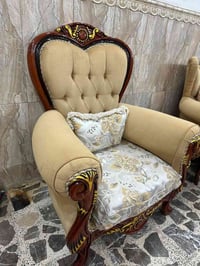 تخم زان تركي للبيع 10 مقاعد مكاني بغداد المشتل السعر مليون وربع  07707...