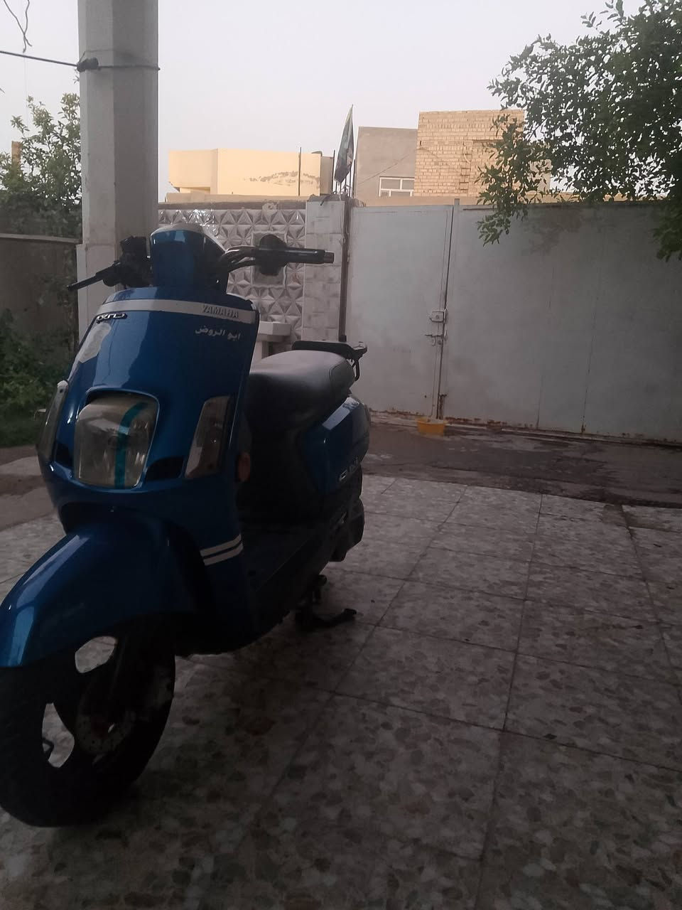 موديل 12 • كفاله عامه • نوزل ومسطره