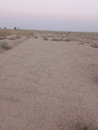 أرض زراعية • ٣٠ و١٥ دونم • قضاء الرفاعي
