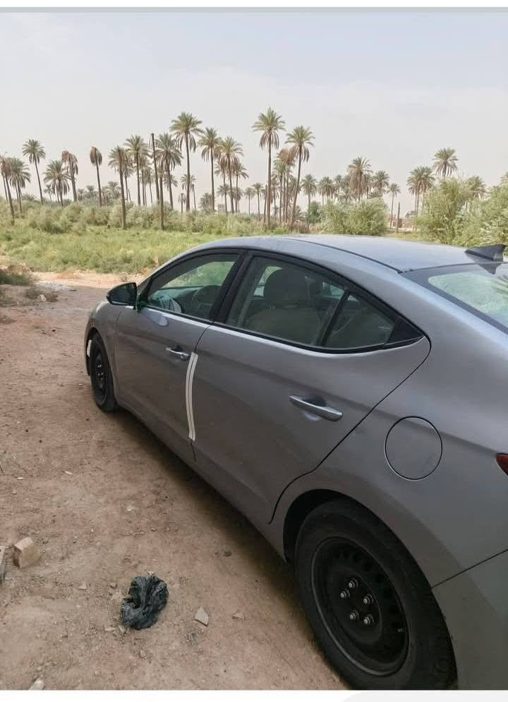 النترا • ٢٠١٧ • صبغ عام