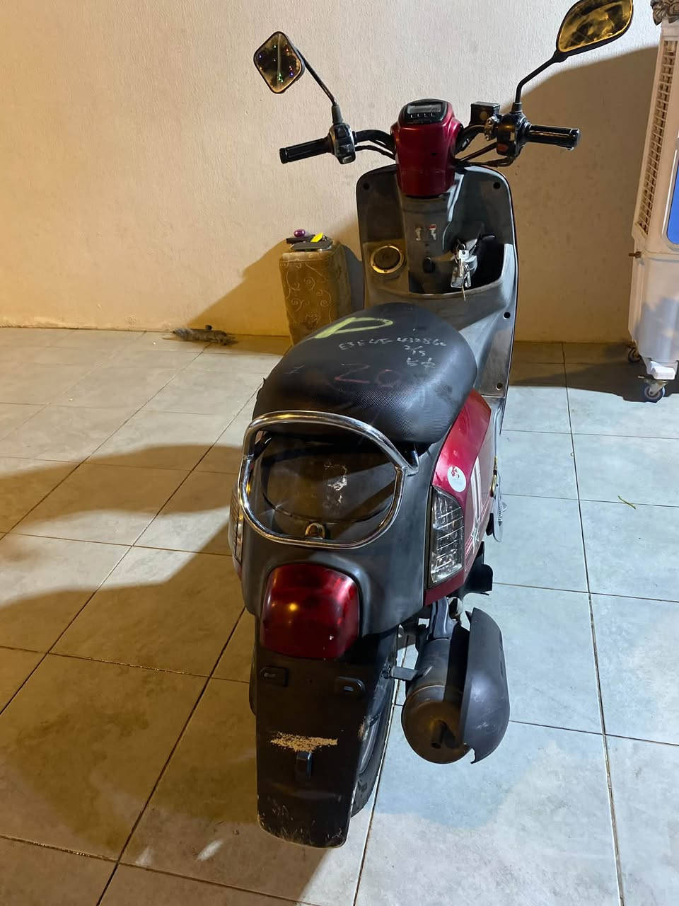 ماكس بوليس • نضيفه • وصل معرض
