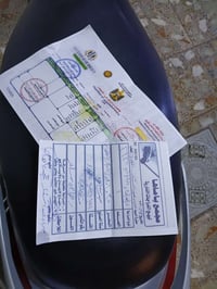 بغبغاء • ياباني • جديدة