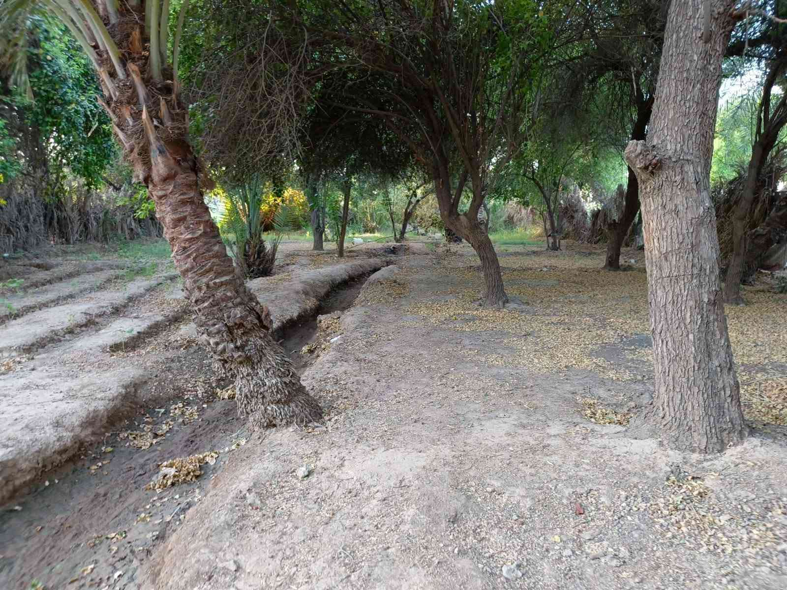 ميسان الدفاس • دونمين ونص • ٦ بيوت