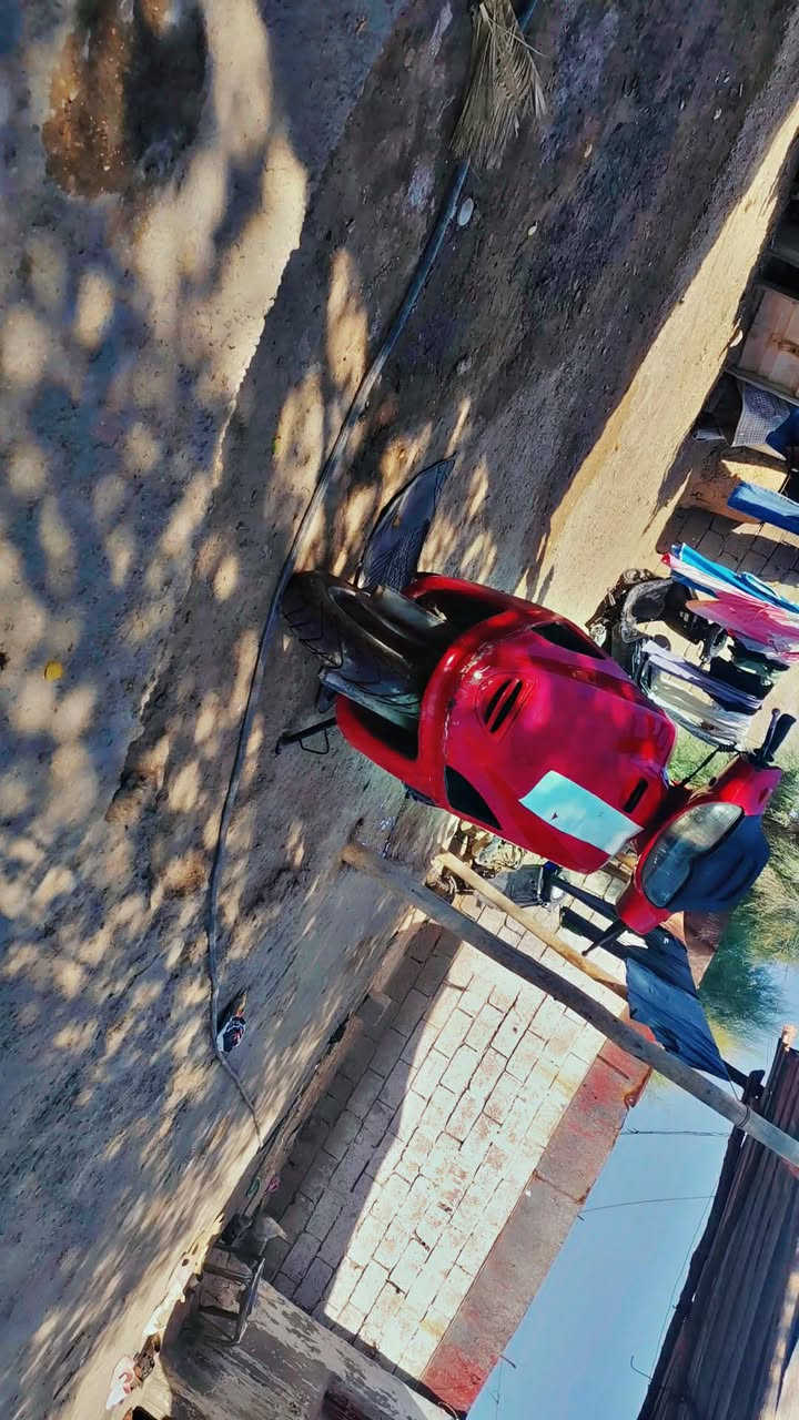 فراشة فحل للبيع مكان بابل جبله 175قفلها ***********
