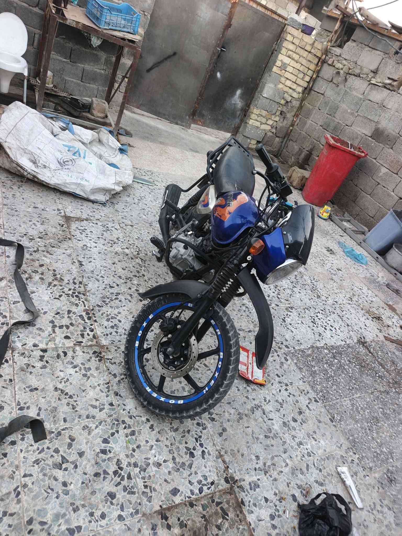 بوكسر • جبلي • ٢٠٢١