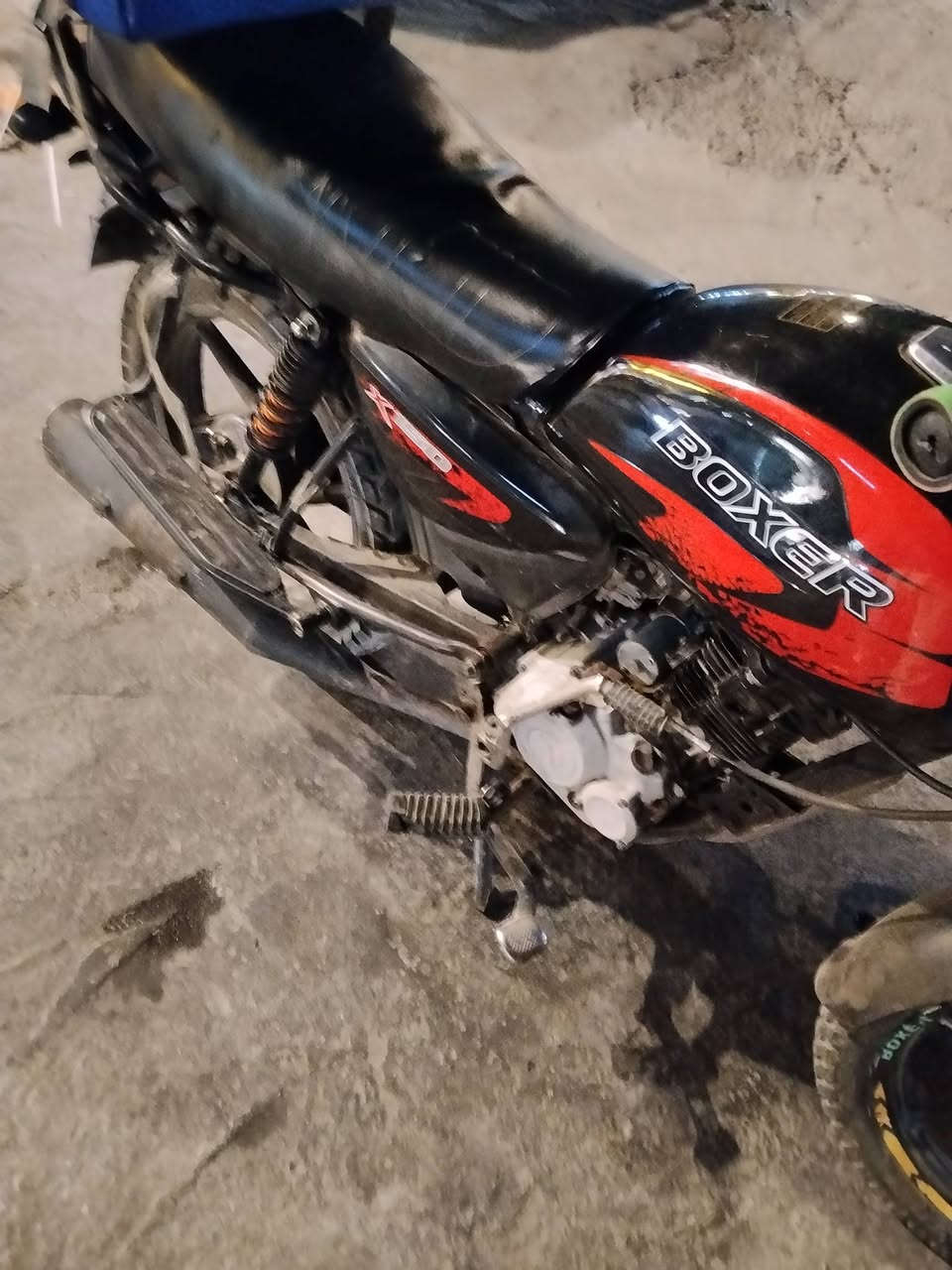 بوكسر • ٢١ • نضيفه