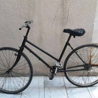 عوزه زنجيل  السعر 10الف اذا مراوس بتاتي  راسلوني بل تطبيق
