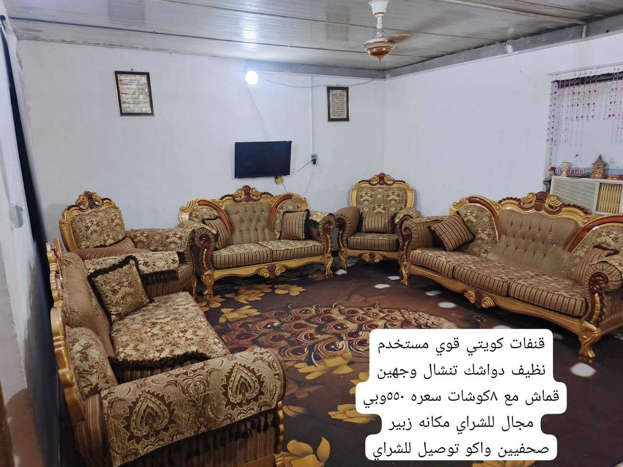 قنفات كويتي • مستخدم نظيف • زبير صحفيين