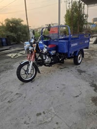 ستوته • جمره • ٢٠٢٦