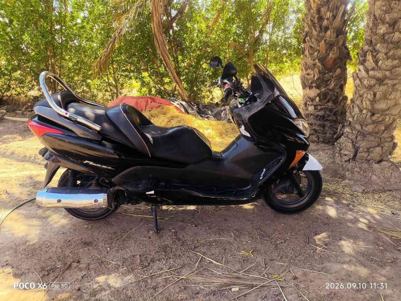فورزا • اوراق • مكينة بدل