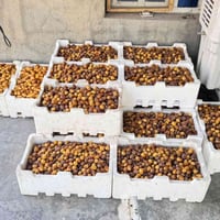 يوجد لدينا تمر برحي وأسطة عمران درجه أولى العنوان بغداد المدائن منطقة ...