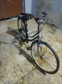 باسكال • حدباء • حمام العليل