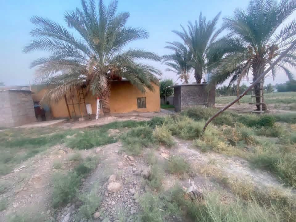 دونم • طابو زراعي • صخريجة