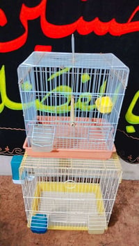 اقفاص وبيوت تكاثر ابو حاضنه يرهم انكليزي  طير حب شغل درجه اولى مستخدم ...