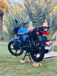 دايون نفخ • ٢٠٢٦ • اوراق