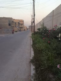 الاربع شوارع زعفرانيه • ١٠٠م • دار زراعي