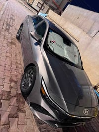 النترا ٢٠٢٤ • وارد امريكي • سياقه ذاتيه