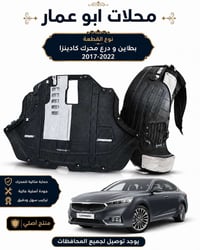 درع محرك • بطاين كادينزا • ٢٠١٧-٢٠٢٠