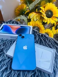 ٢٥٦ • بطارية ٨١ • سمائي