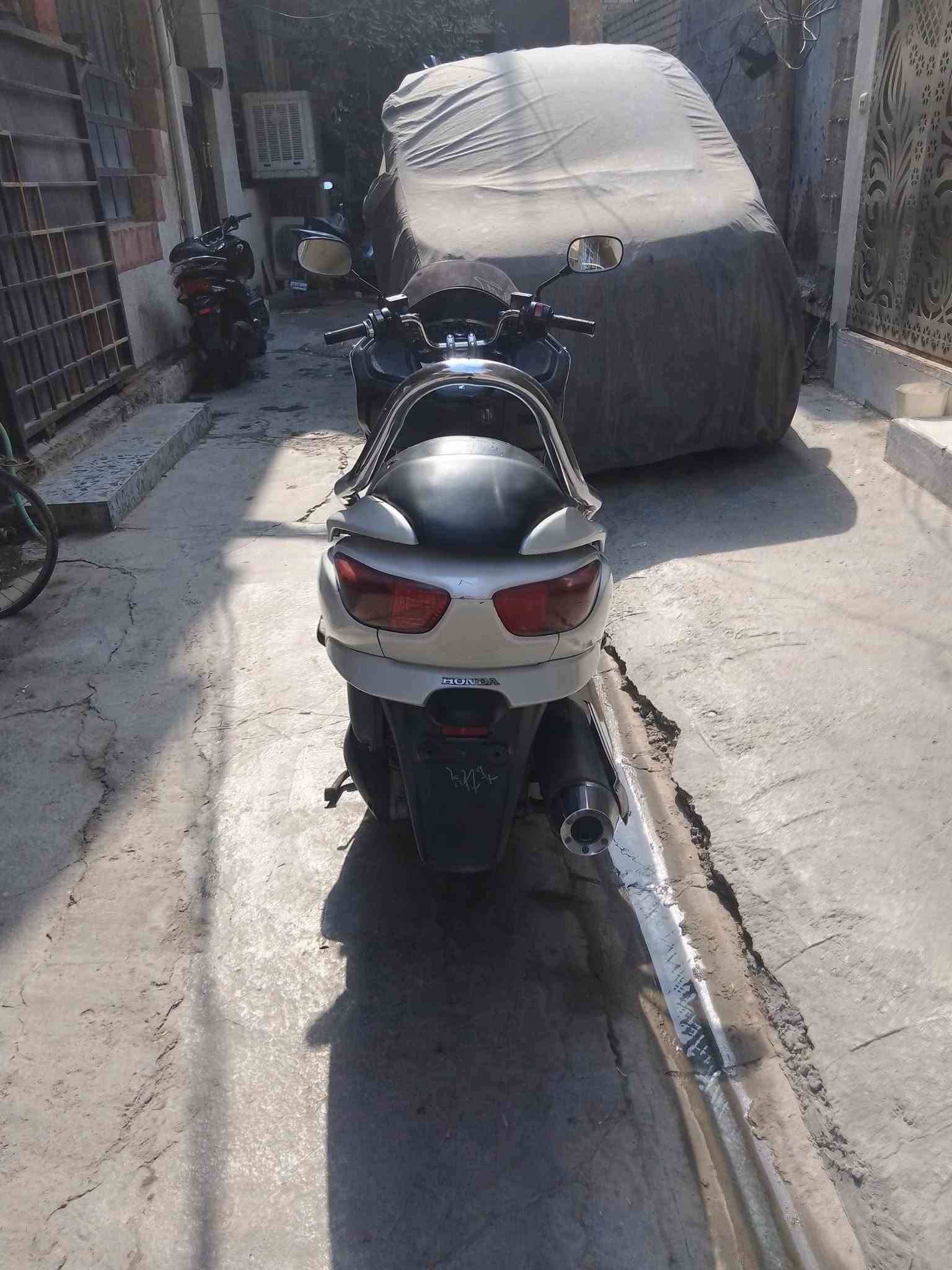 فورزا • زيرو • زنون