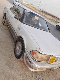 هارتوب • مكفول كص وضربه • بدون صبغ