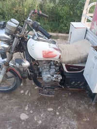 ستوتة • أم طير • موديل 18