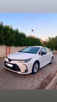 كورلا هايبرد • ٢٠٢٥ • رقم بغداد