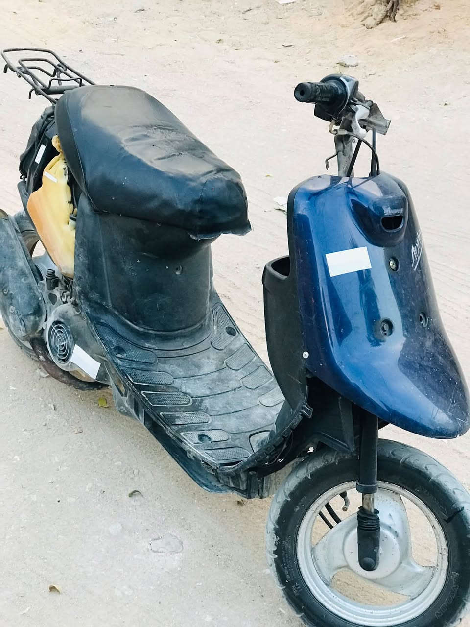 بطه • نضيفه • نشطه