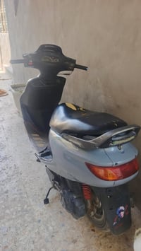 فراشة • فحل • نضيفه
