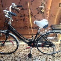 بطة بناتي • حجم٢٧ • زعفرانية