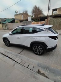 توسان ٢٠٢٥ • ماشية ٦٠٠٠ • رقم بغداد
