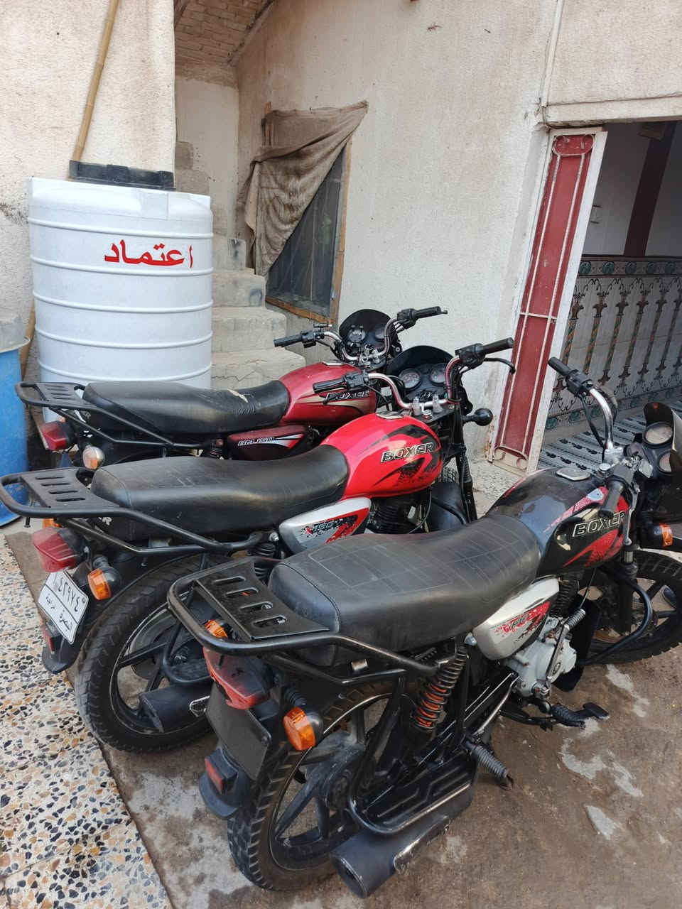 بوكسر • اوراق • مكفوله