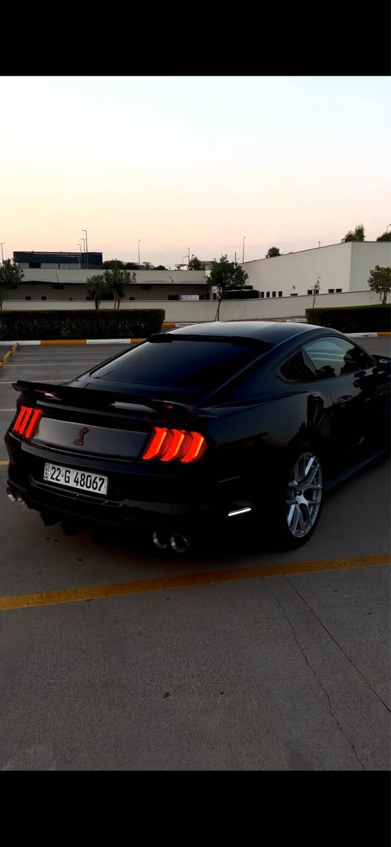 موستانگ ٢٠١٧🔥
V6
سياره بل پاكيت سياره كلين بونيد تبدل 
صالنصا كورسا 
دعامي شيلبى 
سپايده ر شيلبى
ويل gt
لايت تبدل بيلادى بل پاكيت 
دعامى ٢٠١٨
بگلايت gt
سياره مابى نقص 
١٠٠كم حقيقى
سعر ١٦٠مجال بسيط

موستانگ ٢٠١٧
سياره كه زور پاك ماوه ته وه 
V6
كامل مصرفى بو كراوه 

صالنصا كورسا 
دعامي شيلبى 
سپايده ر شيلبى
ويل gt
لايت تبدل بيلادى بل پاكيت 
دعامى ٢٠١٨
بگلايت gt
به نزبه ت سوبغ بس بونيتى سبوخه ژورى توزه ك گرتوه 
بى ايرباك تنها شانى ته قيوه
يه ك جى پى دى ئاره 
١٠٠كم رويشته هيچ مسروفه كى نيه نزيك ١٢وره قه مسروف لى كرايه 
سعر ١٦٠مجالى كم 
تبينى/تكايه لى نازانى موشته رى نى بيزارم مه كه 
***********
ادمين❤️ أربيل, العراق
