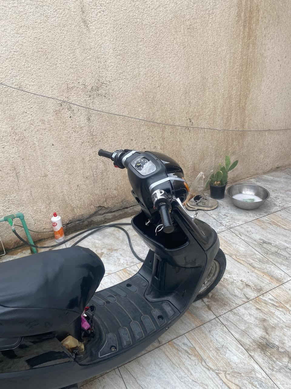 بطة • 2003 • نقص كابريته