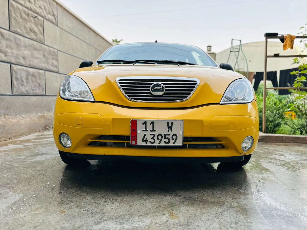 طيبة • ٢٠١٧ • مكفولة