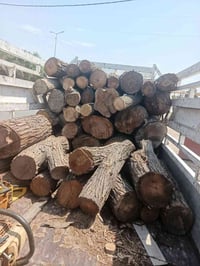إزالة أشجار • نخيل • سعر مناسب